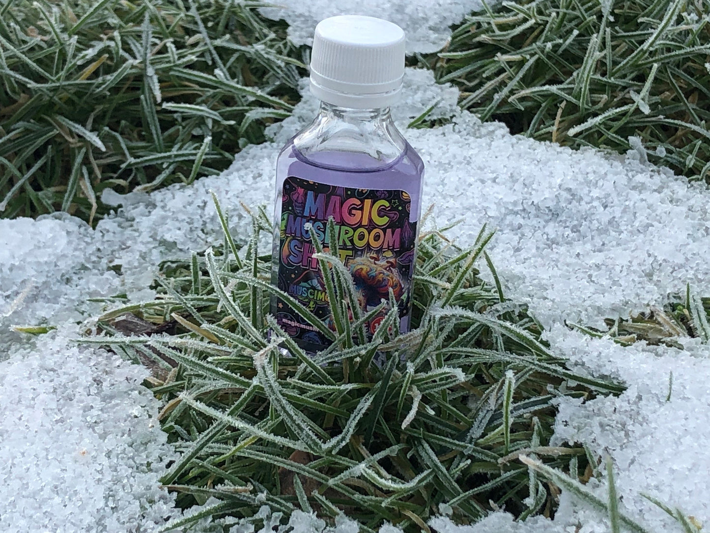 Mystic Shroom Elixir